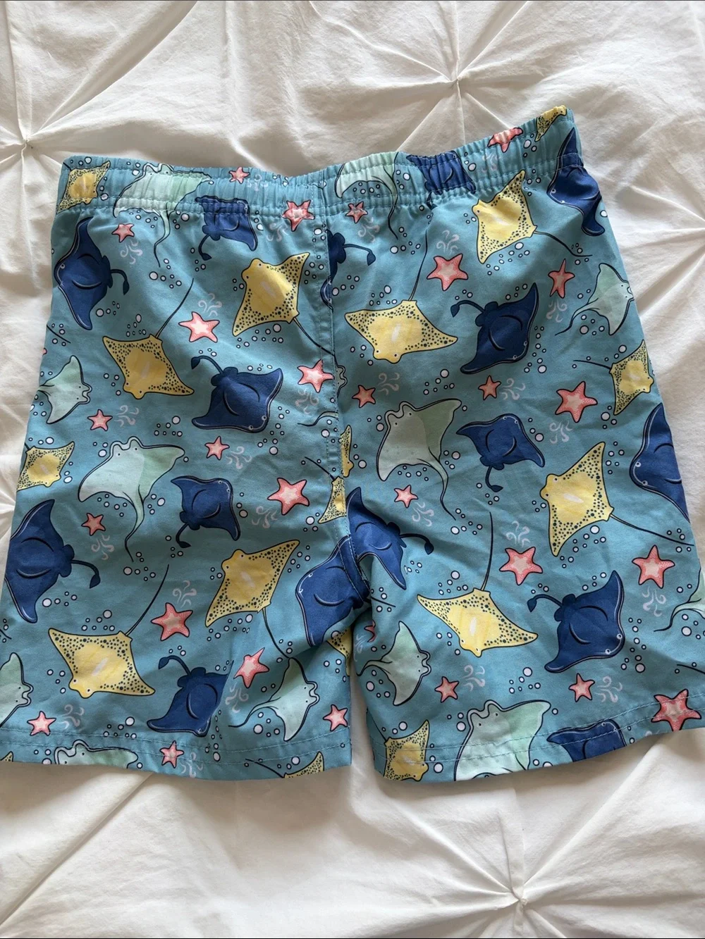 Lands End kids swim